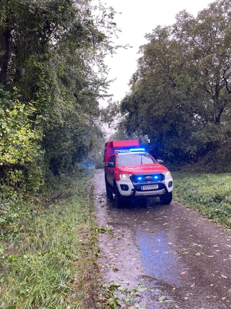 Unwettereinsätze: weitere Baumbeseitigungen